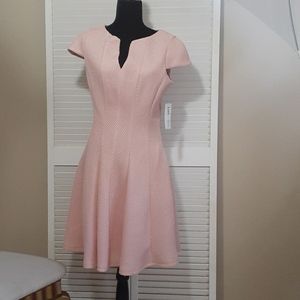 Blush Donna Ricco Dress New WithTag